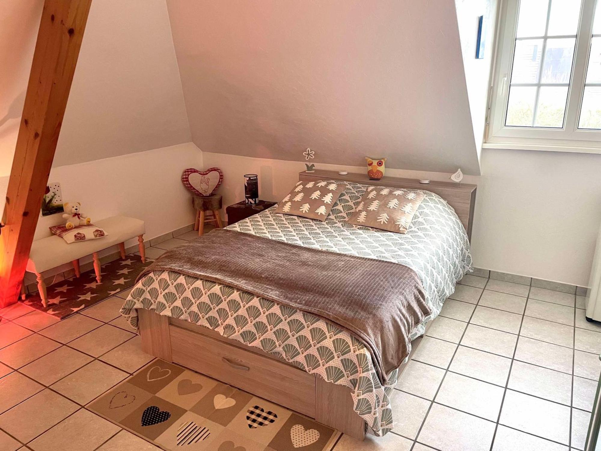 Le Papillon,Logement Cosy En Alsace เอสชไตน์ ภายนอก รูปภาพ