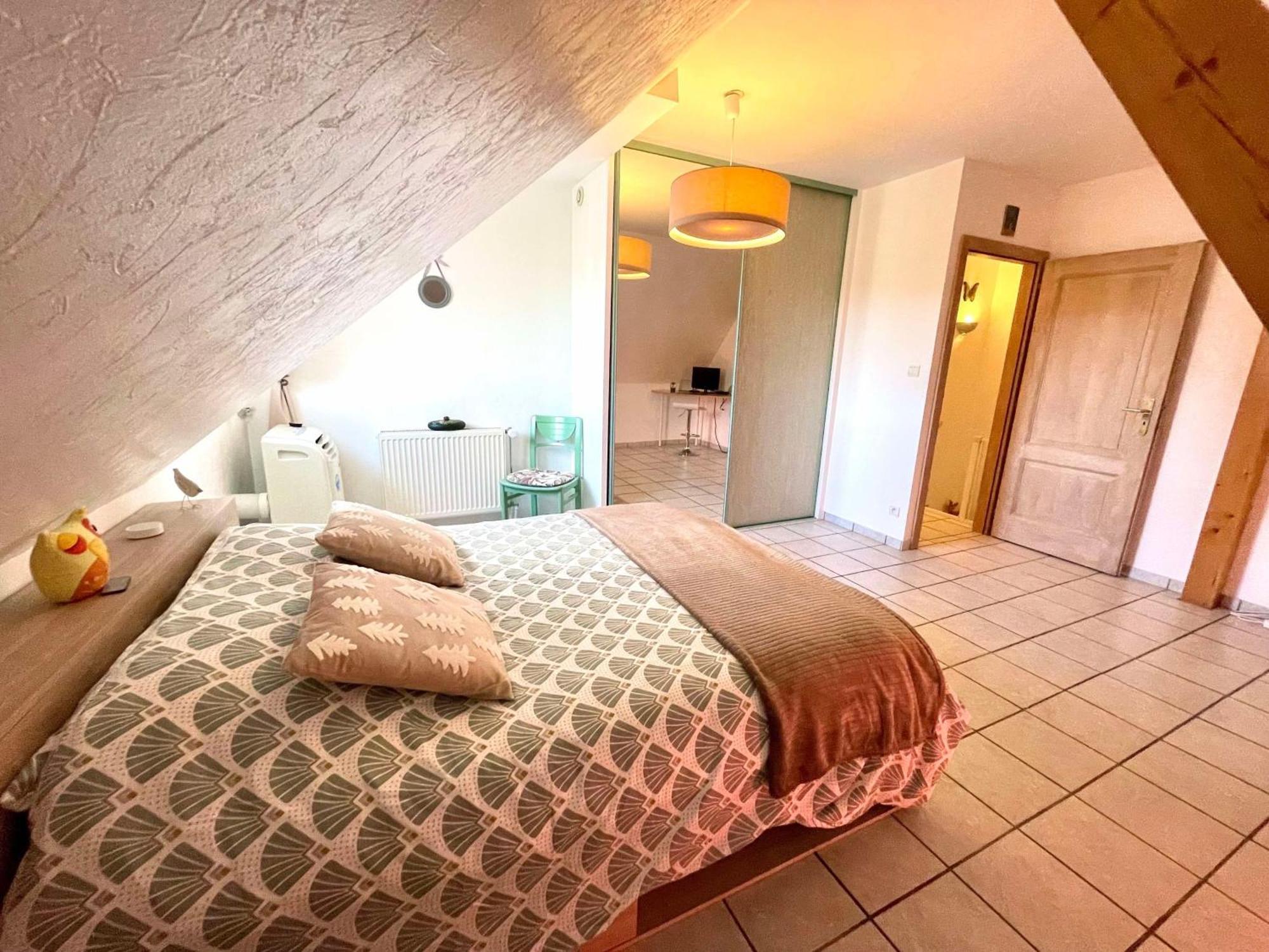 Le Papillon,Logement Cosy En Alsace เอสชไตน์ ภายนอก รูปภาพ
